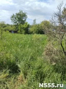 Продам участок в СНТ фото 4